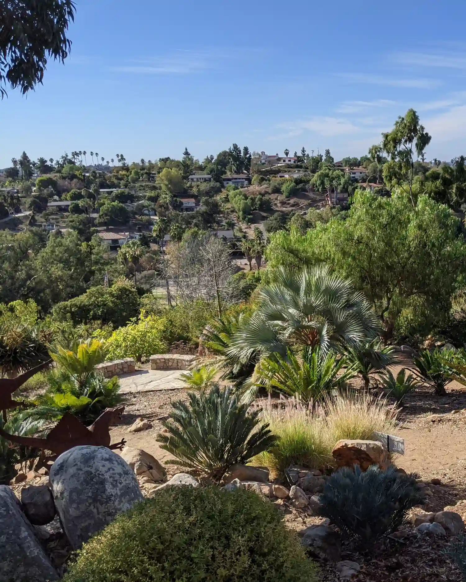 Alta Vista Botanical Gardens in Vista, California